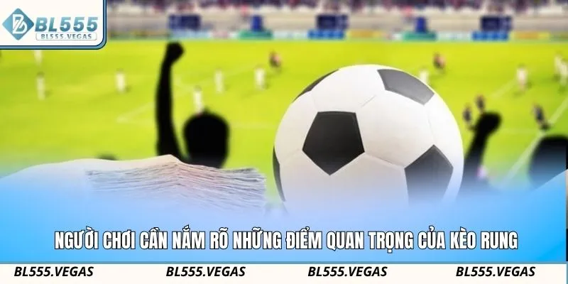 Người chơi cần nắm rõ những điểm quan trọng của kèo rung